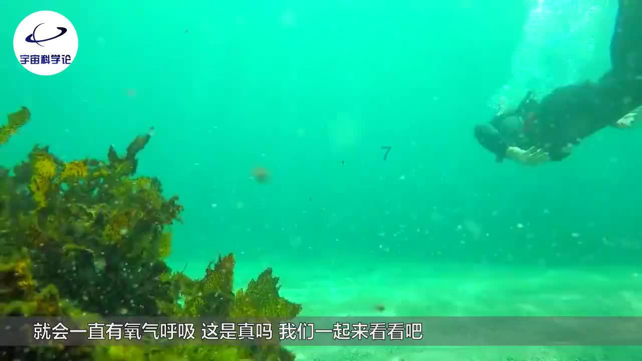 逃出古风住宅