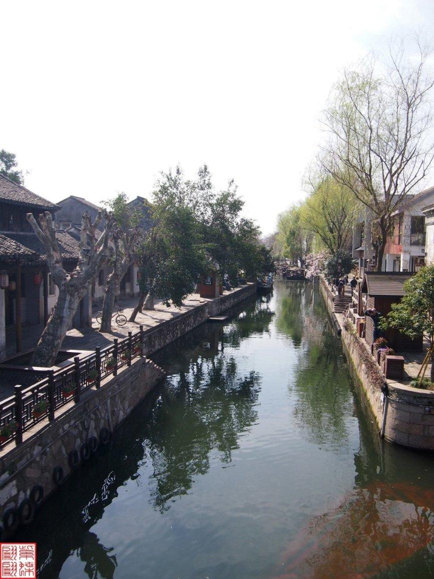 救援鹦鹉